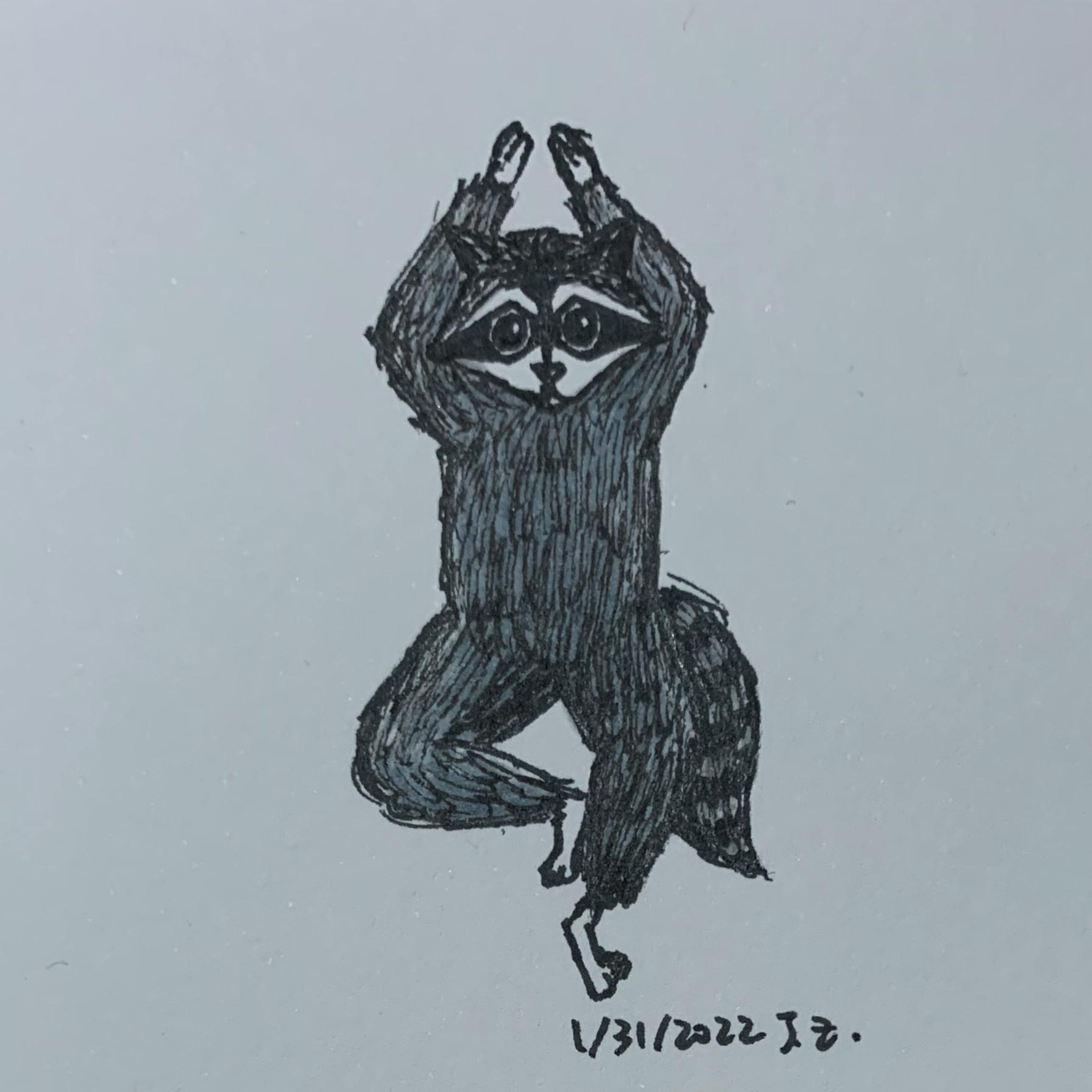 Raccoon does yoga (tree pose) 1/31/2022 Sketchdaily