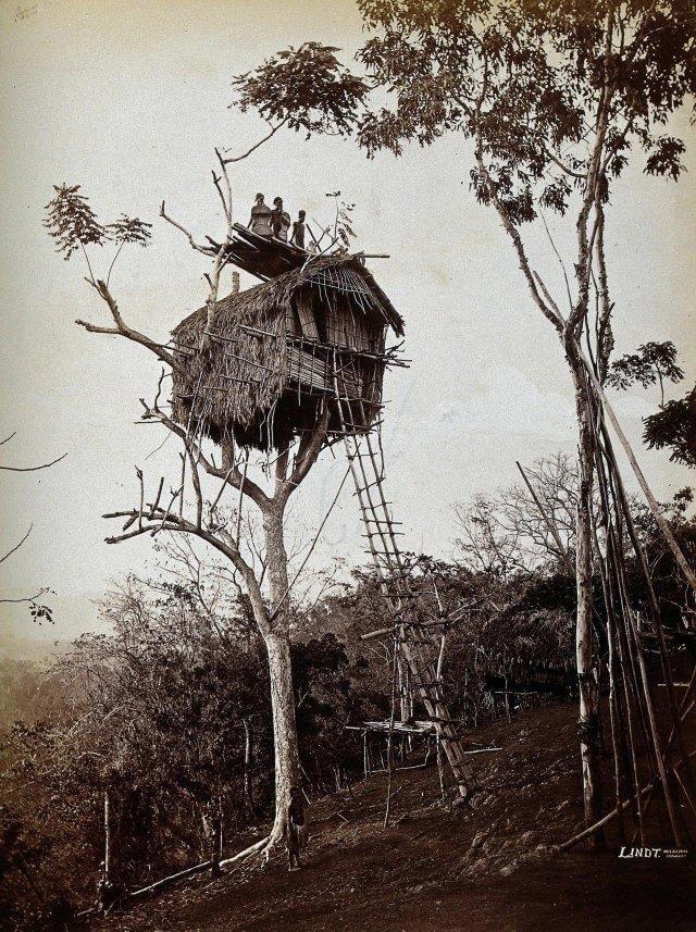 A tree residence of the Koiari folk, east of Port Moresby, Papua Original Guinea, 1886.