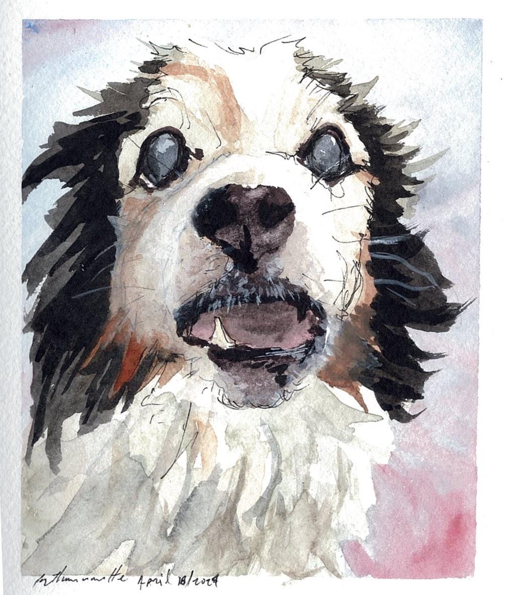 Imgur Dogs Panko “I query onto the chair you monster”,  Watercolour