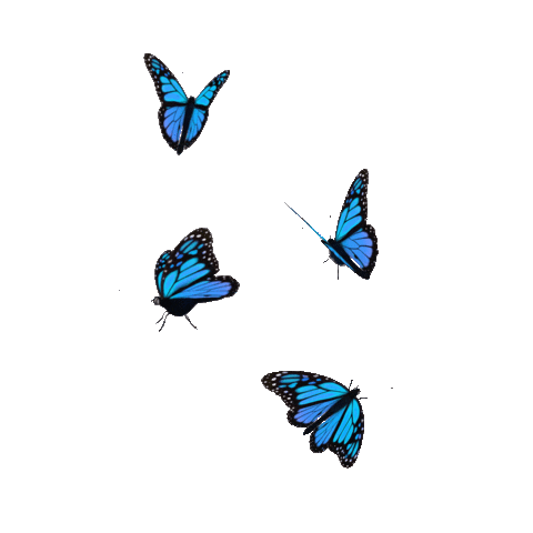 stunning blue butterflies gif png
